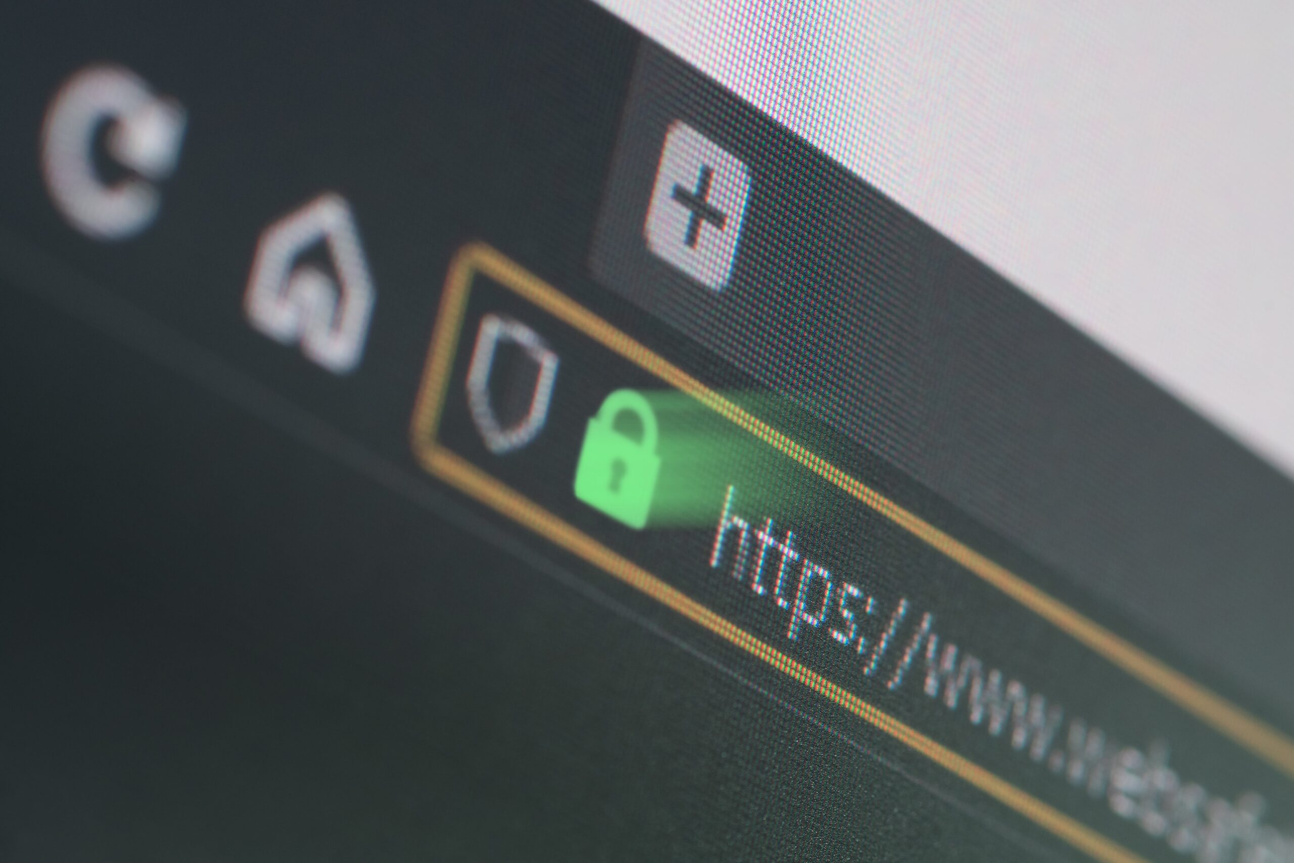 Web_DevelopmentImage-min Divi WordPress Web Development NZ